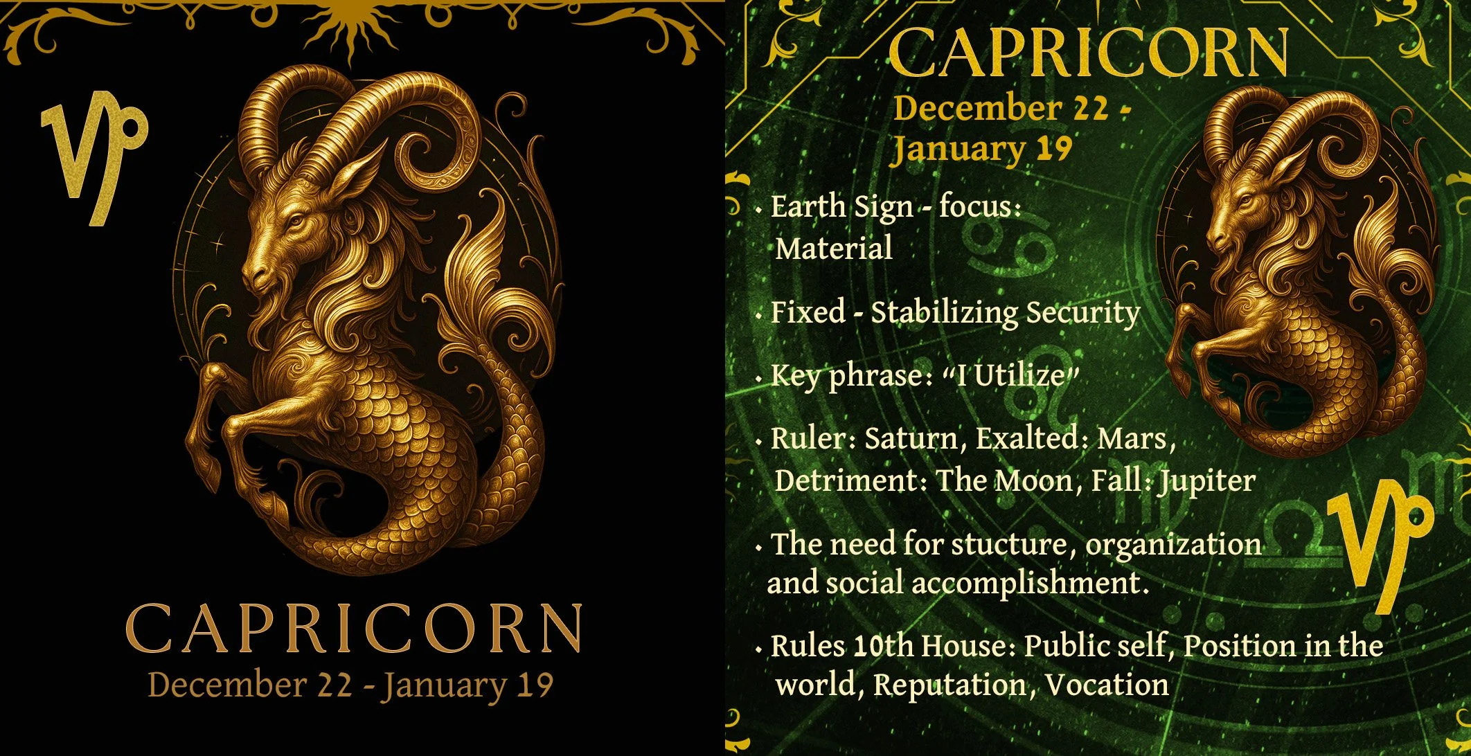 The Zodiac sign of Capricorn — Linda Ruttan Moldawsky